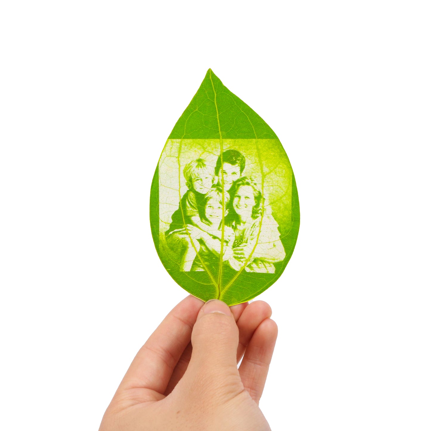 Customized leaf engraving photo for birthday Valentine’s Day gift