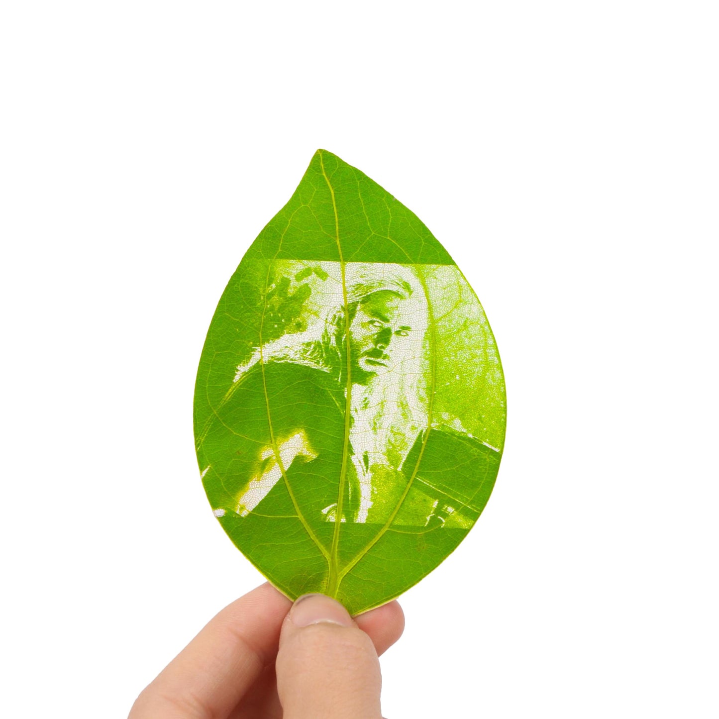 Customized leaf engraving photo for birthday Valentine’s Day gift